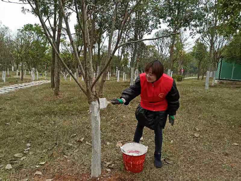 志愿服务 让旅游更文明，让游客更温暖(图3)